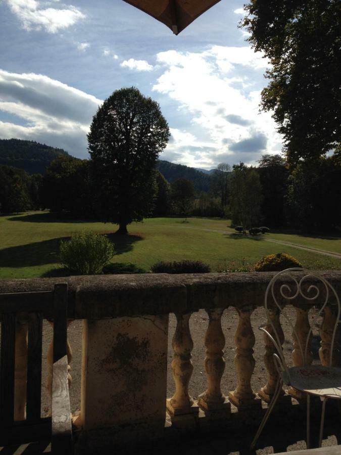 Chateau Du Val Larbont La Bastide-de-Serou Экстерьер фото